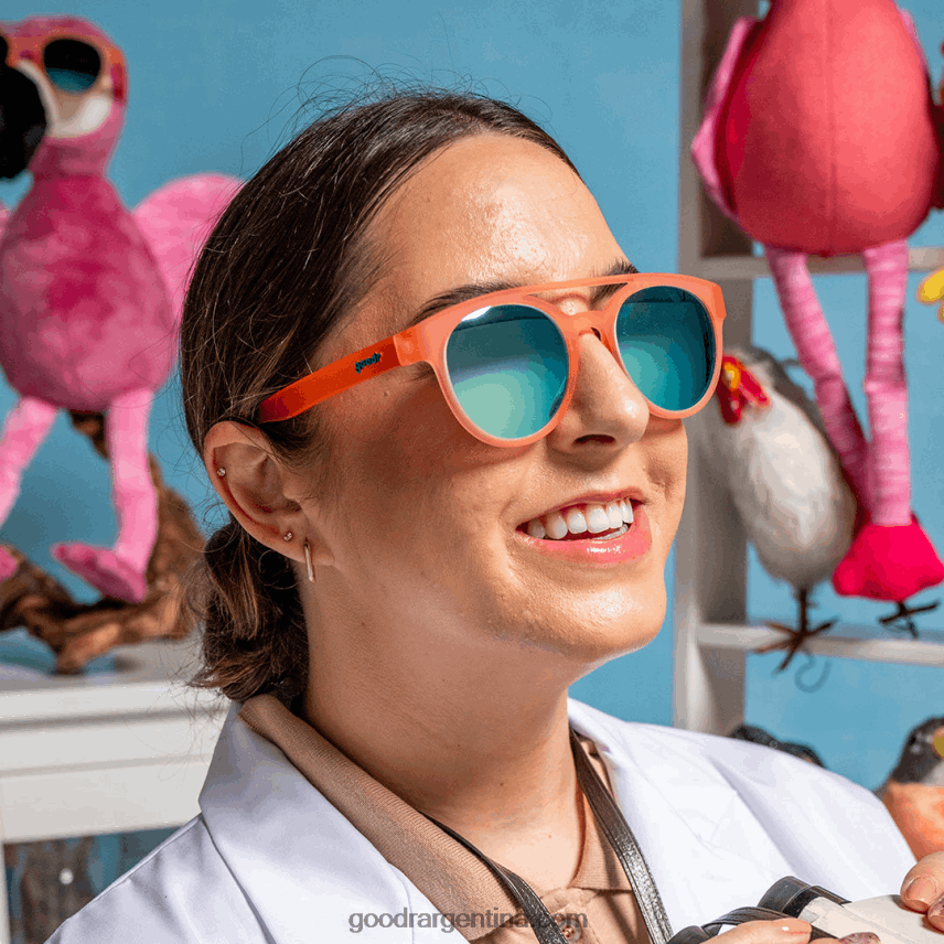 Goodrquédate volando, ornitólogos 28DP0L102